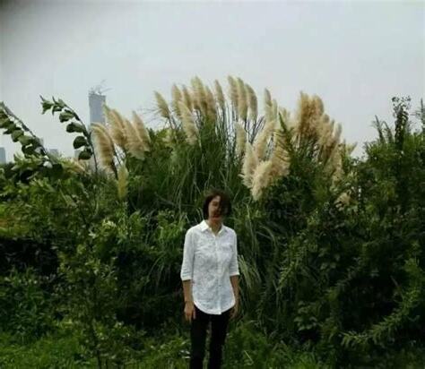 若有生路 誰願犯罪